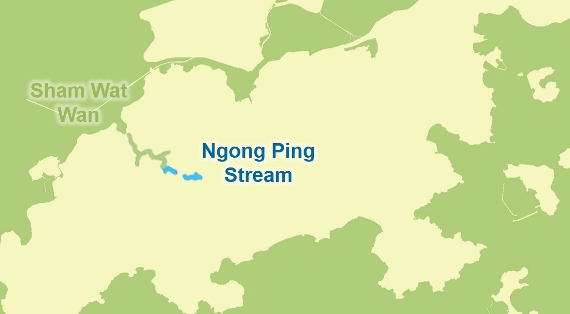 Ngong Ping Stream