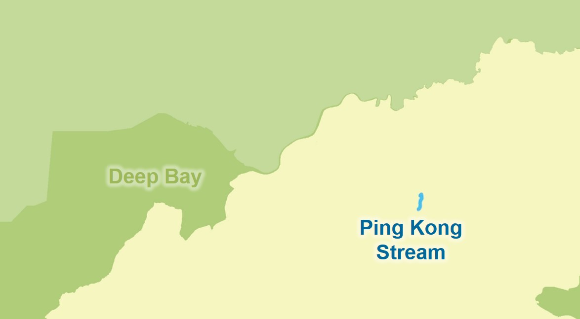 Ping Kong Stream