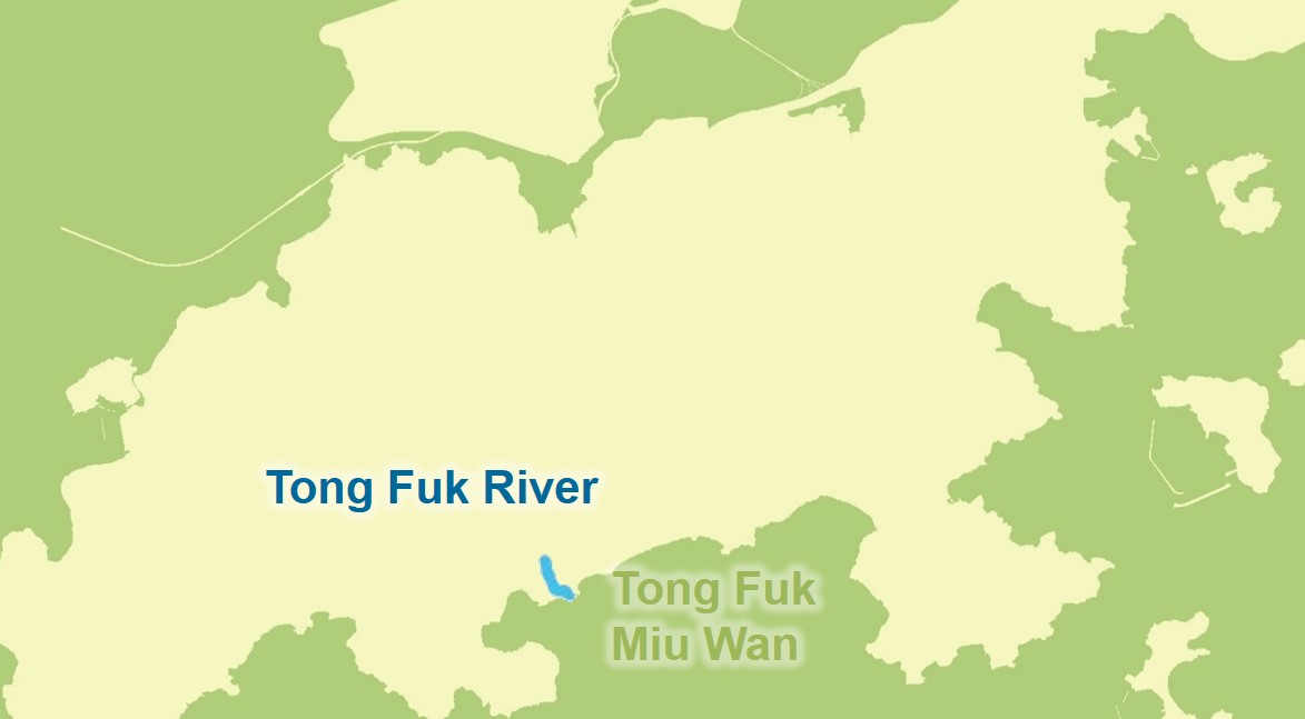 Tong Fuk River