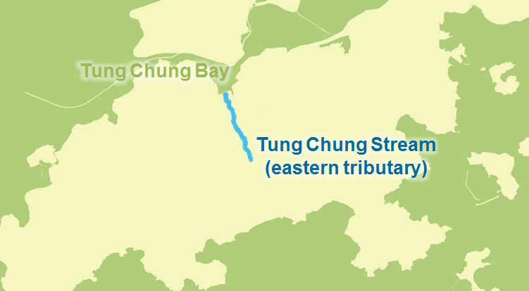 Tung Chung Stream (eastern tributary)