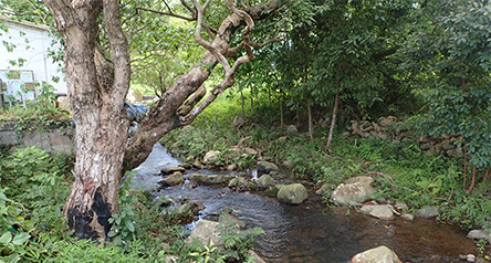 Sai Kung River
