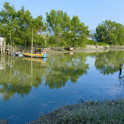 Landscape for Shan Pui River / Kam Tin River