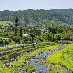 Landscape for Upper Lam Tsuen River