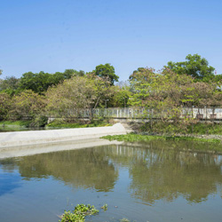 Landscape for Yuen Long Bypass Floodway