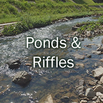 Ponds & Riffles