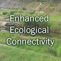 Enhanced Ecological Connectivity