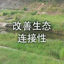 改善生态连接性