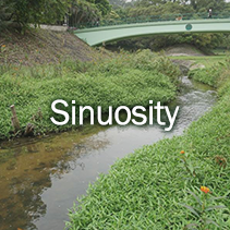 Sinuosity