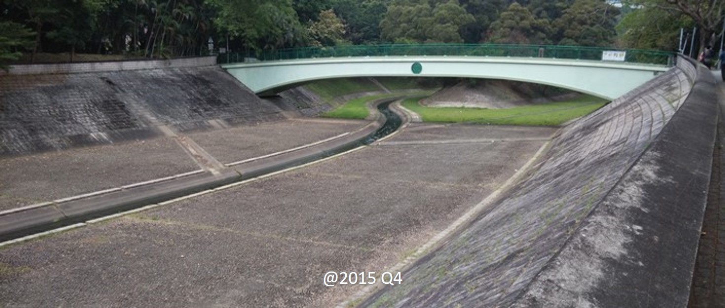 下林村河 - 改善前