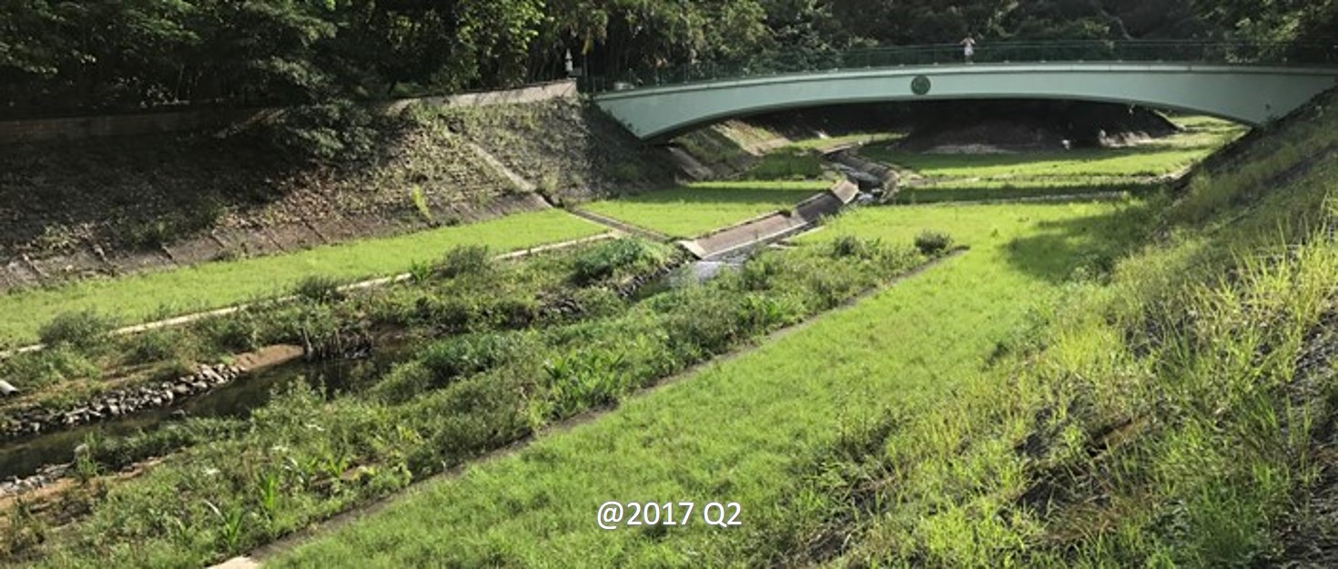 下林村河 - 改善後