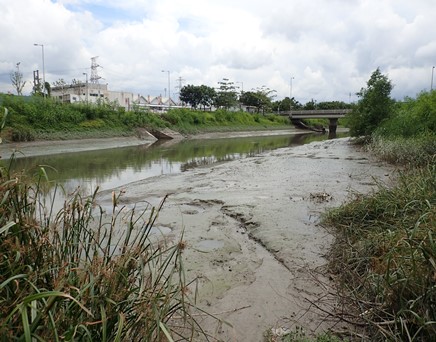 River upstream picture