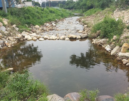 River upstream picture
