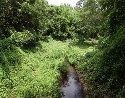 River downstream picture