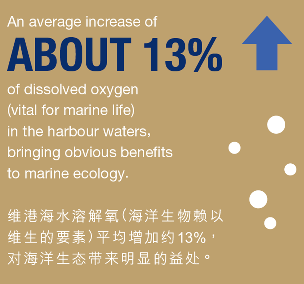 维港海水溶解氧（海洋生物赖以 维生的要素）平均增加约13%， 对海洋生态带来明显的益处。