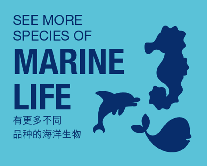 有更多不同 品种的海洋生物