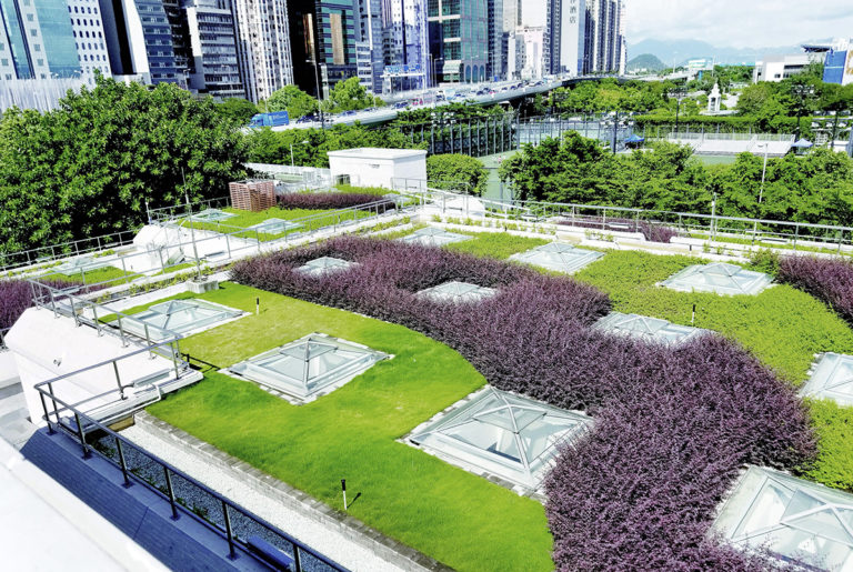 Green roof at Central PTW