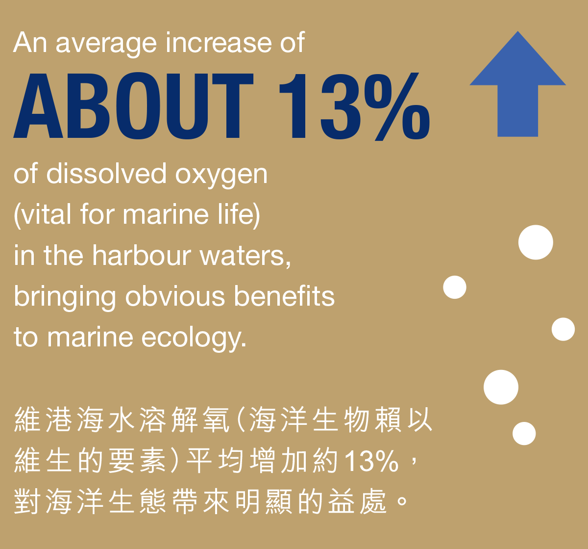 維港海水溶解氧（海洋生物賴以 維生的要素）平均增加約13%， 對海洋生態帶來明顯的益處。
