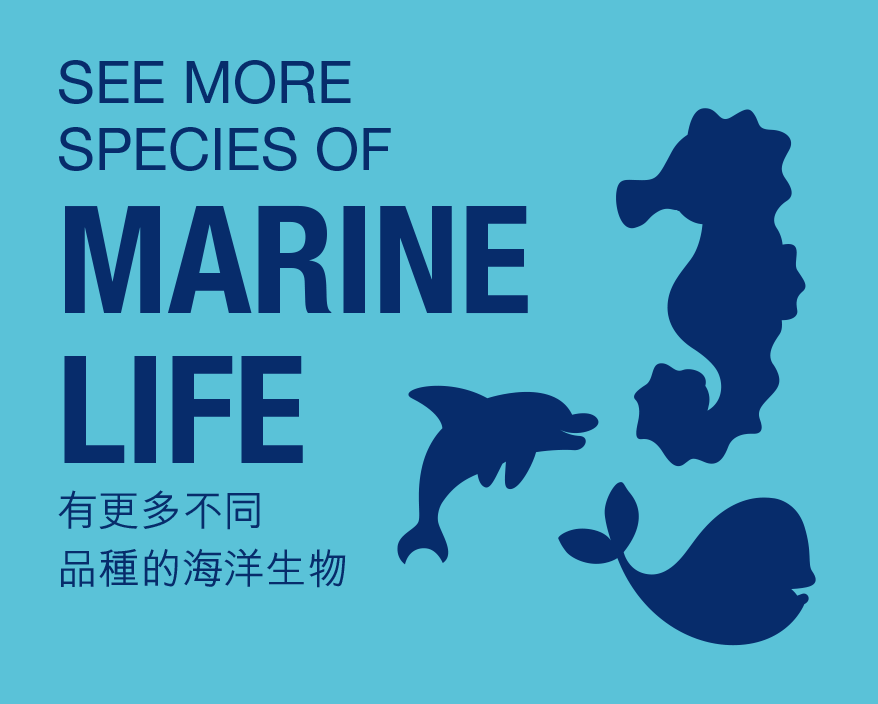 See more species of marine life