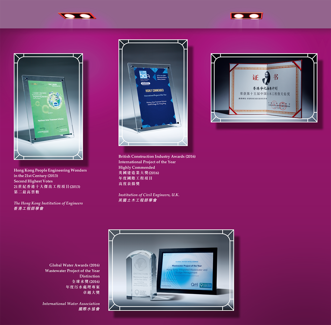 全球獎項與嘉許