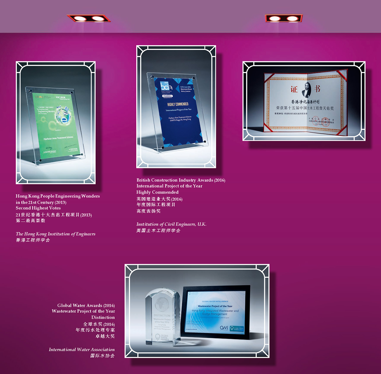 全球奖项与嘉许