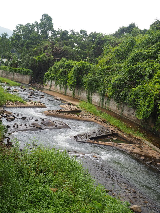 Eco-conservation Elements in Rivers – Fish ladders