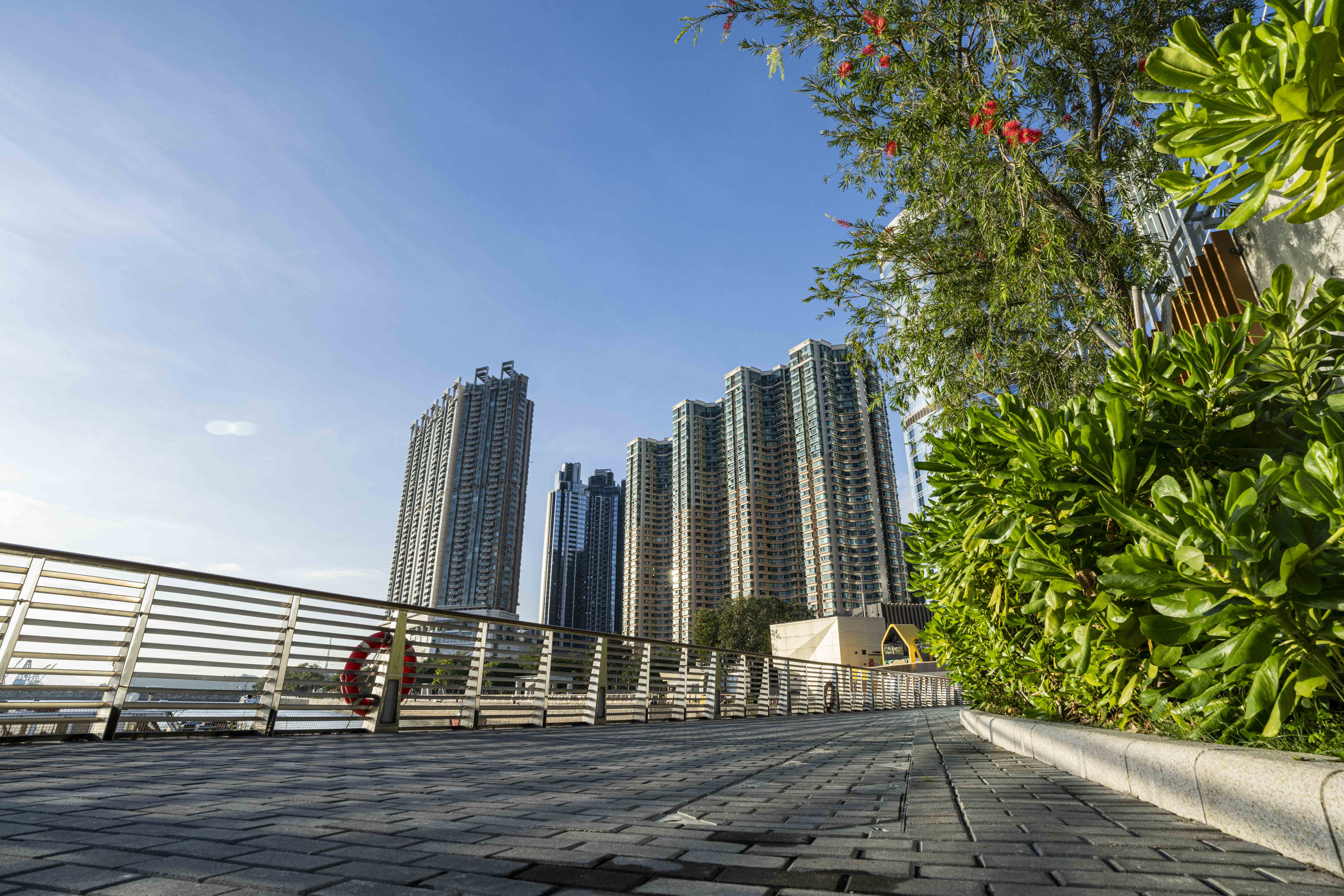 The Hoi Fai Road Promenade in Tai Kok Tsui is open for public use from today (December 21). The newly extended section of the Hoi Fai Road Promenade covers an area of about 360 square metres, and provides benches and green spaces.