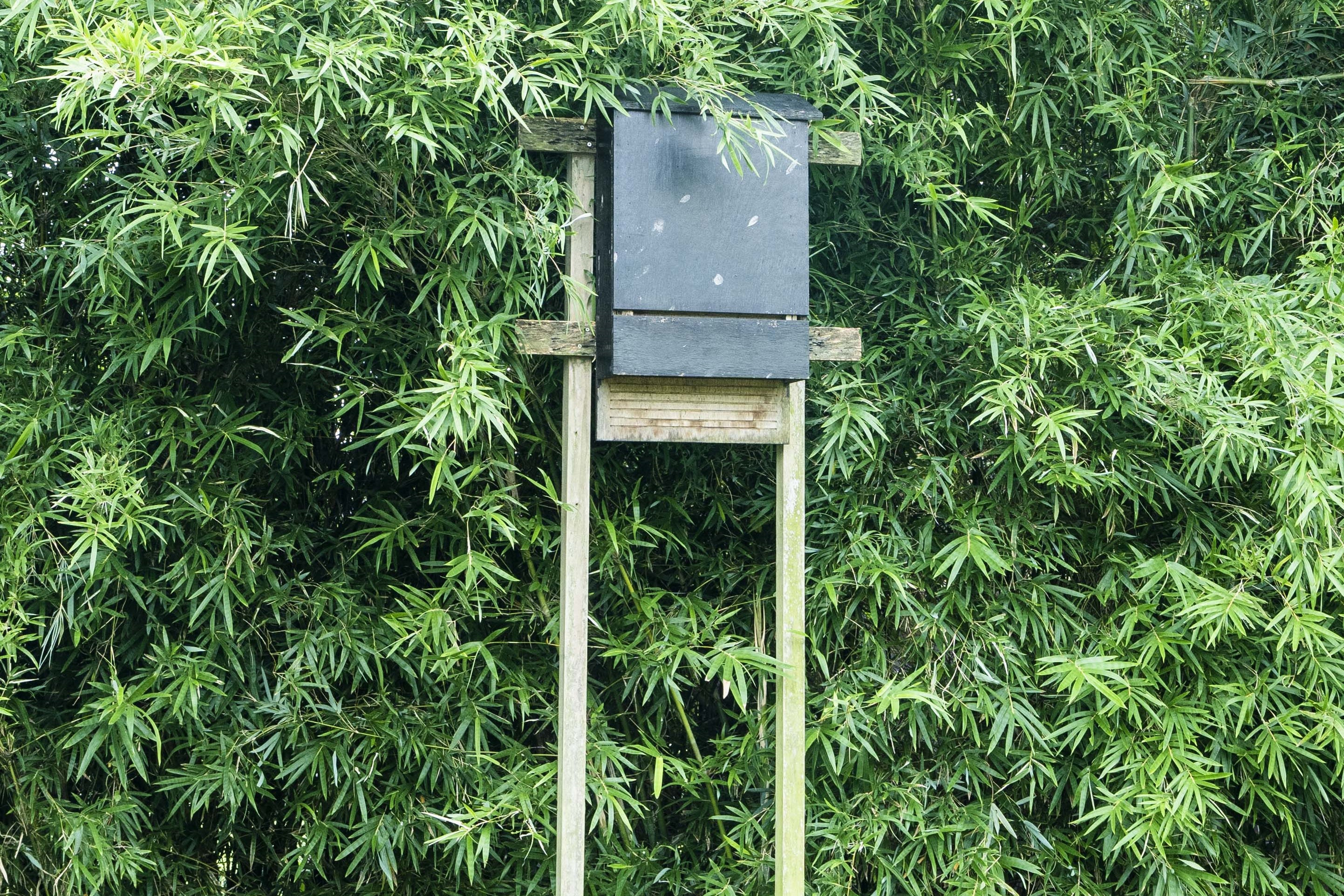 元朗排水繞道人工濕地