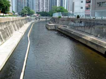 In 1990s, the Government implemented a series of measures to improve the water quality, and conveyed the treated effluent from Sha Tin and Tai Po Sewage Treatment Works to the nullah for continuous flushing. The water quality of nullah was improved. (Source: Mr. KO Tim Keung)