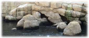 魚洞穴及導流石