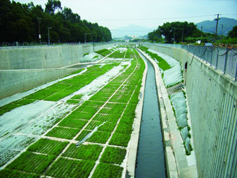 Grasscretes in Yuen Long Bypass Floodway