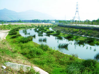 A Shallow Pond in Yuen Long Bypass Floodway