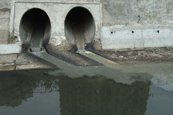 Non-point Source Pollution from Stormwater Drains