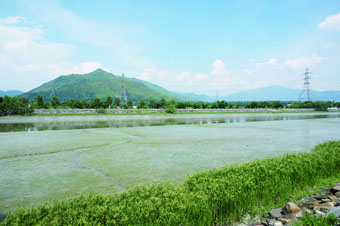 锦田河河盆被包括鸡公岭（左）和大帽山（右）的山岭包围