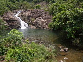 位於河背的錦田河上游