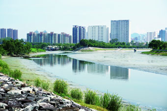 The Confluence of the Old Natural Channel of Kam Tin River (left) and Shan Pui River (right)