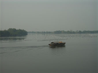 清朝時有山貝河街渡來往大奚山(即大嶼山)和元朗墟