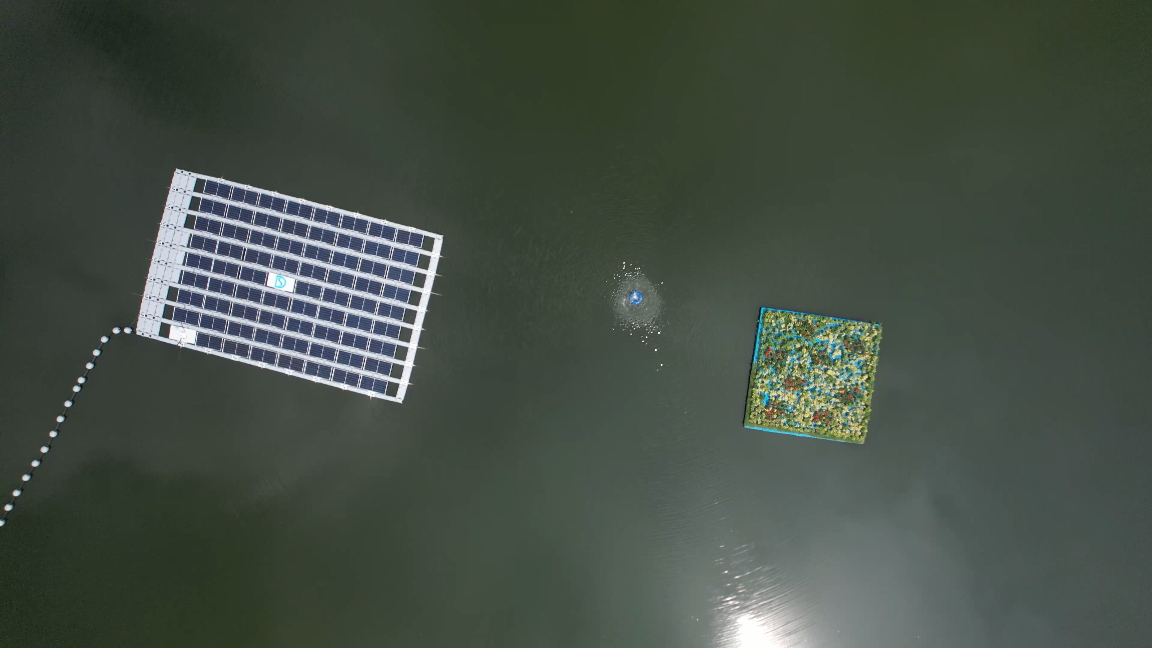 新田蓄洪池浮式太陽能發電系統及生態浮島