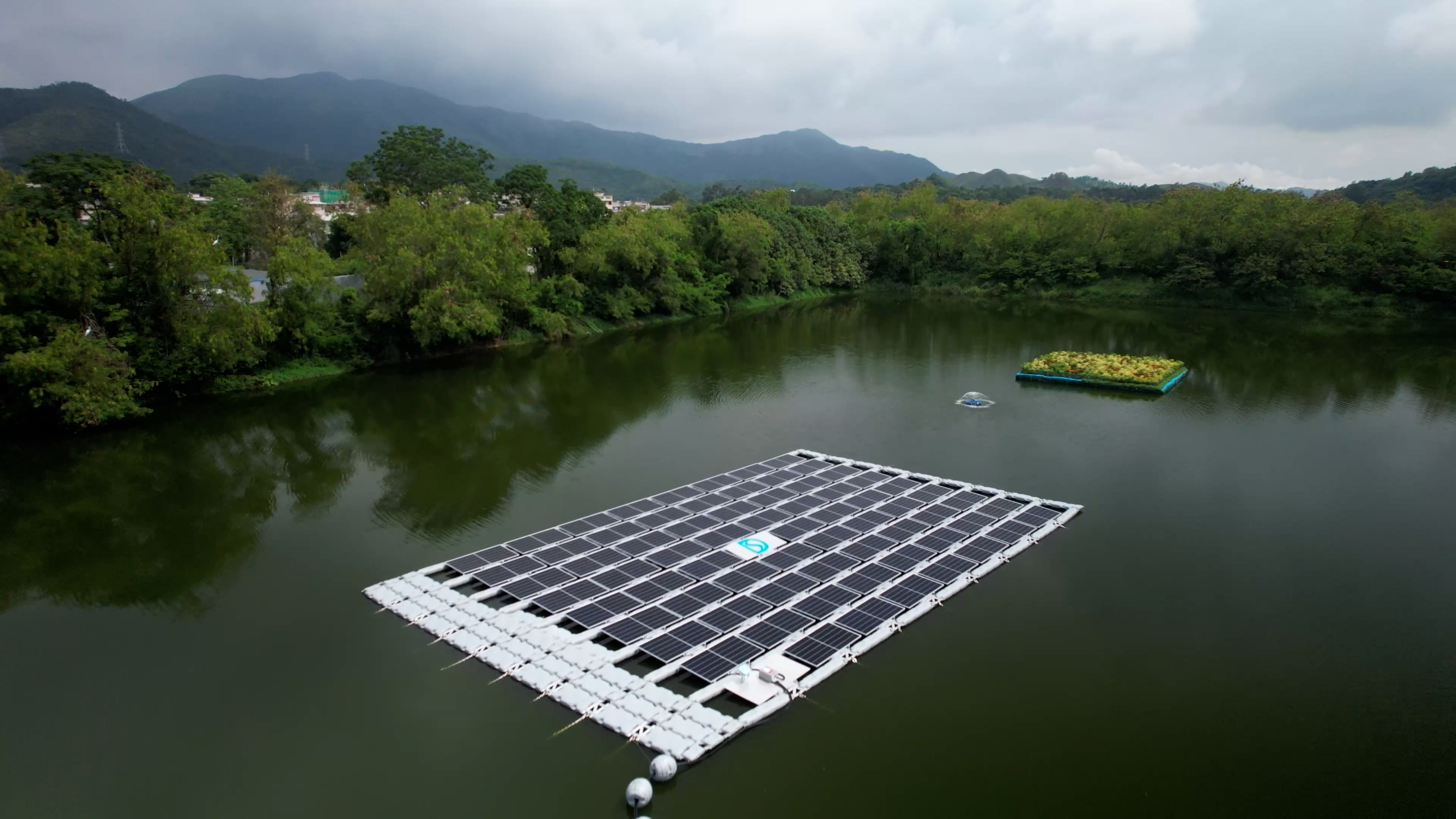設於新田蓄洪池的浮式太陽能發電系統及生態浮島