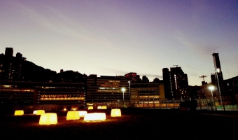 Green Roof of the Pump House (Night View)
