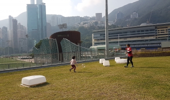 Green Roof of the Pump House