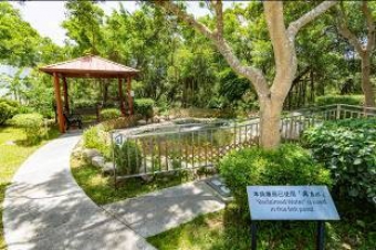Ngong Ping Sewage Treatment Works Fish Pond
