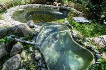 Ngong Ping Sewage Treatment Works Fish Pond