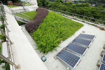 Green roof of Central Preliminary Treatment Works