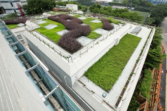 Green roof of Central Preliminary Treatment Works
