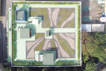 红磡湾污水泵房绿化天台