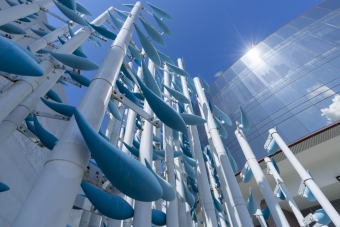 “Fish ・ 1989” Feature Wall