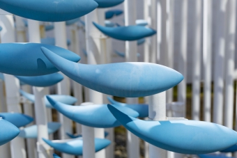 “Fish ・ 1989” Feature Wall