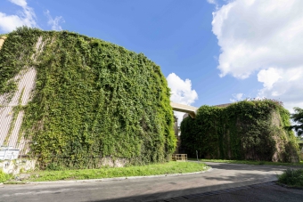 Vertical Greening at Shatin Sewage Treatment Works
