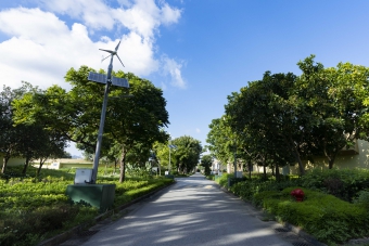 Landscaping Works at Shatin Sewage Treatment Works