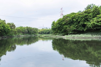 Yuen Long Bypass Floodway Shallow Ponds